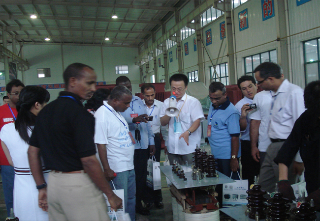 African and European and American Delegations Came To Our Factory To Inspect The Transformer Project