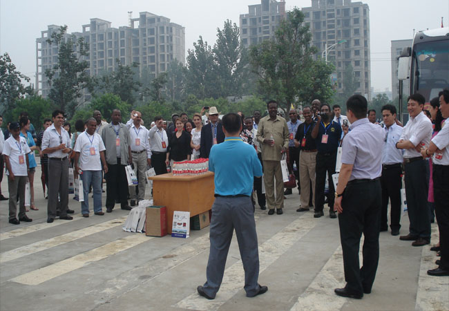 African and European and American Delegations Came To Our Factory To Inspect The Transformer Project