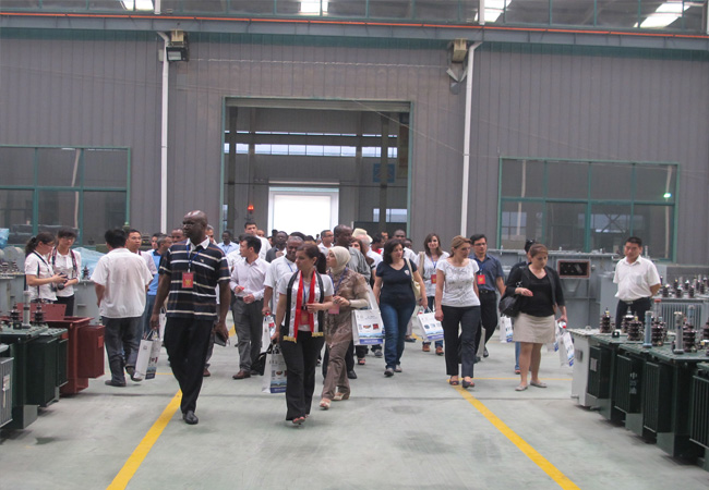 African and European and American Delegations Came To Our Factory To Inspect The Transformer Project