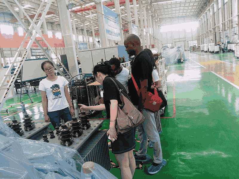 Rwandan Customers Visited Our Factory To Order Oil-Immersed Transformers